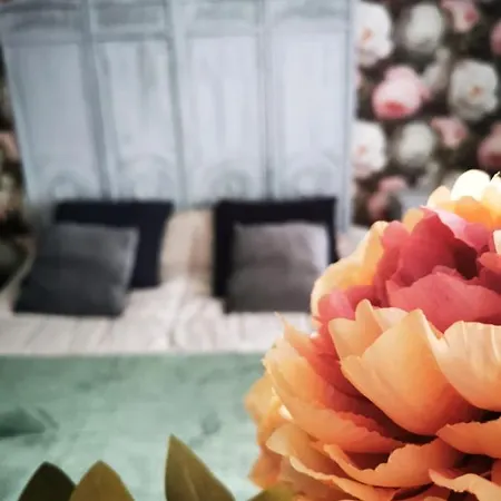 Apartment Le 2 Bis *